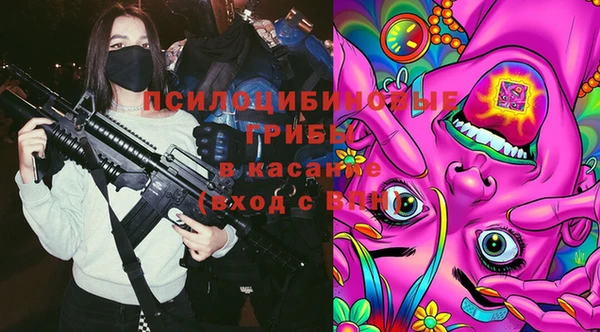 2c-b Козельск
