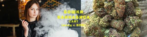 2c-b Козельск