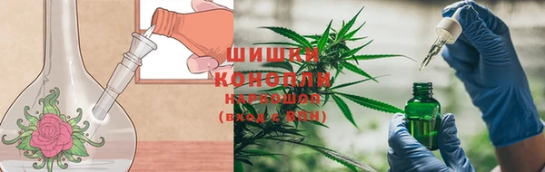 apvp Нея