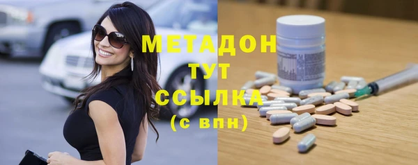 сатива Козловка