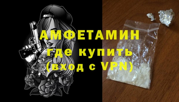 сатива Козловка