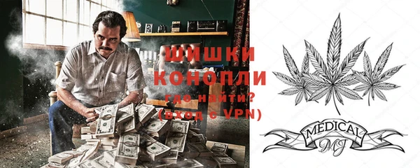 индика Михайловка