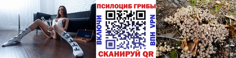 Галлюциногенные грибы ЛСД  что такое   Таруса 